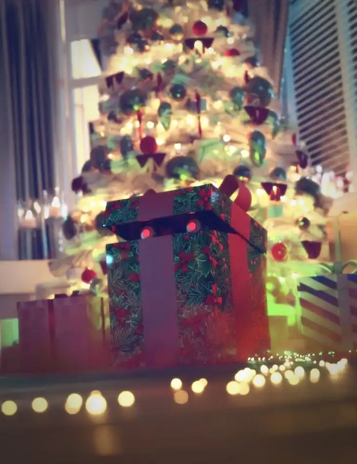 A Curious Christmas Gift (Christmas Freebie)_DAZ3DDL