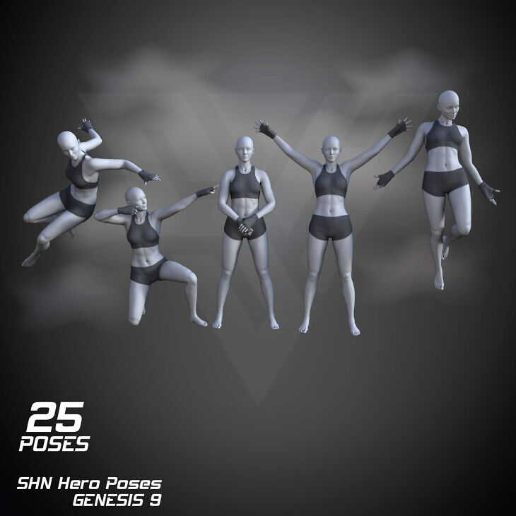 Shn Hero Poses For Genesis 9 Male and Female_DAZ3DDL