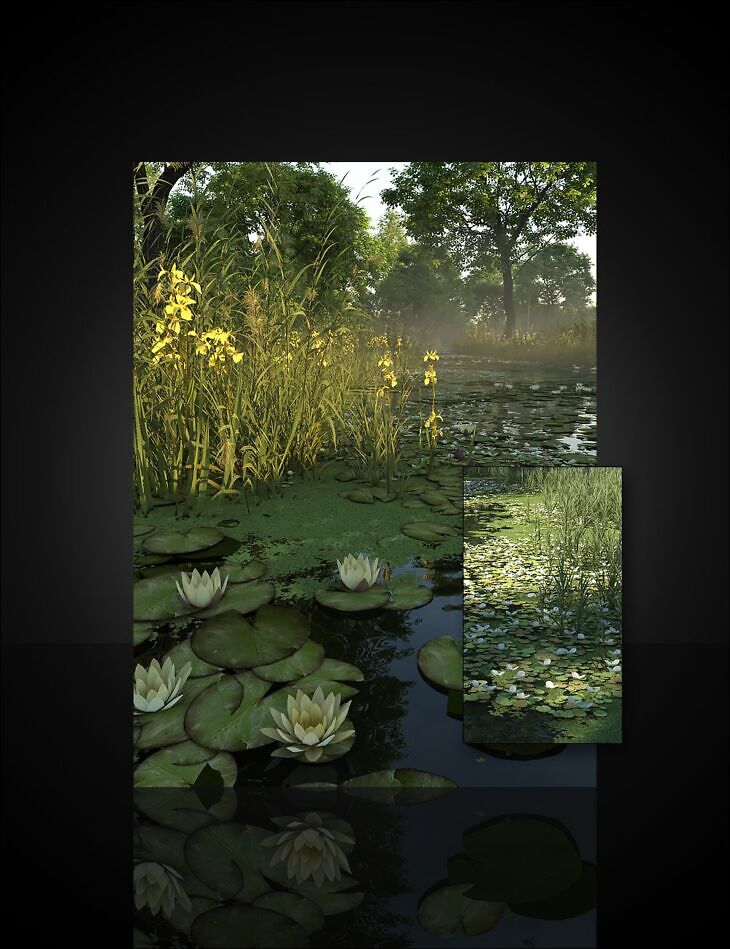 UltraScenery2 – Biomes Volume 2_DAZ3D下载站