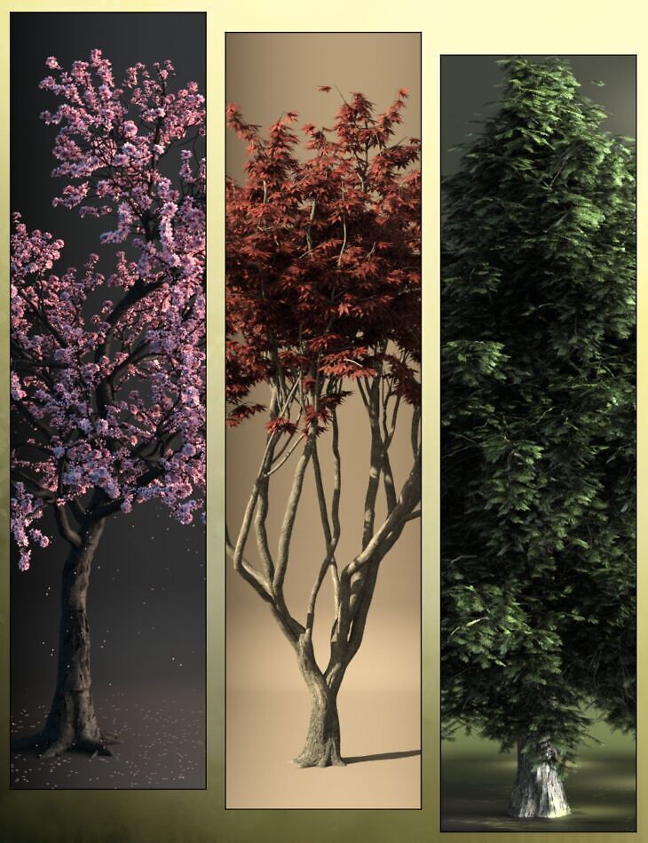 V176 Trees Bundle_DAZ3D下载站