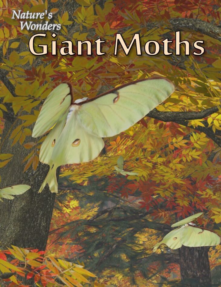 Nature’s Wonders Giant Moths_DAZ3D下载站