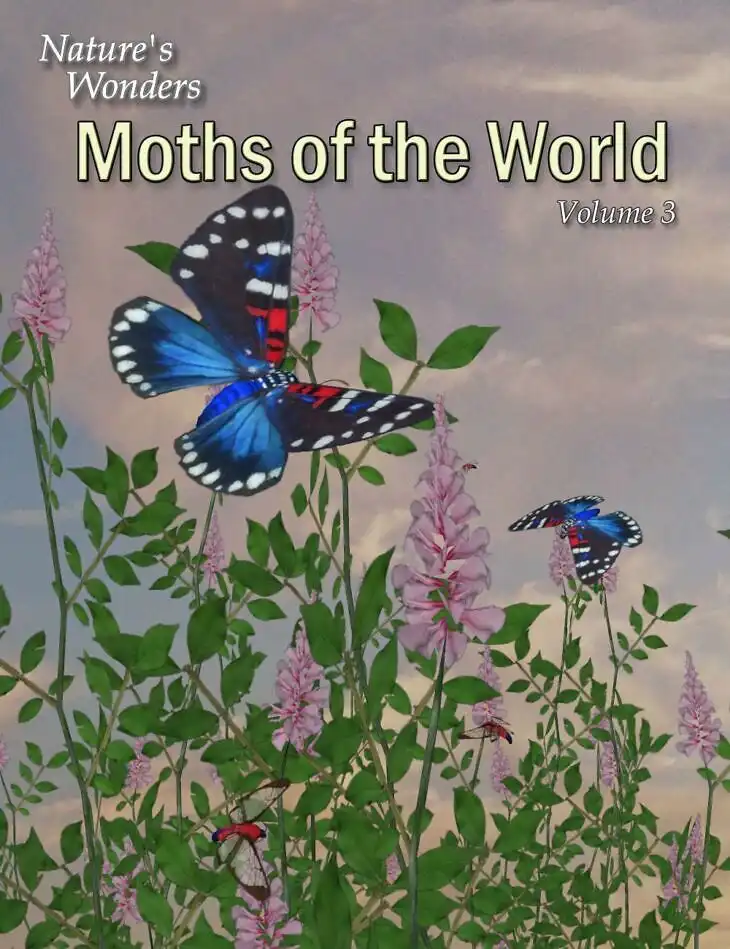 Nature’s Wonders Moths of the World Vol. 3_DAZ3D下载站