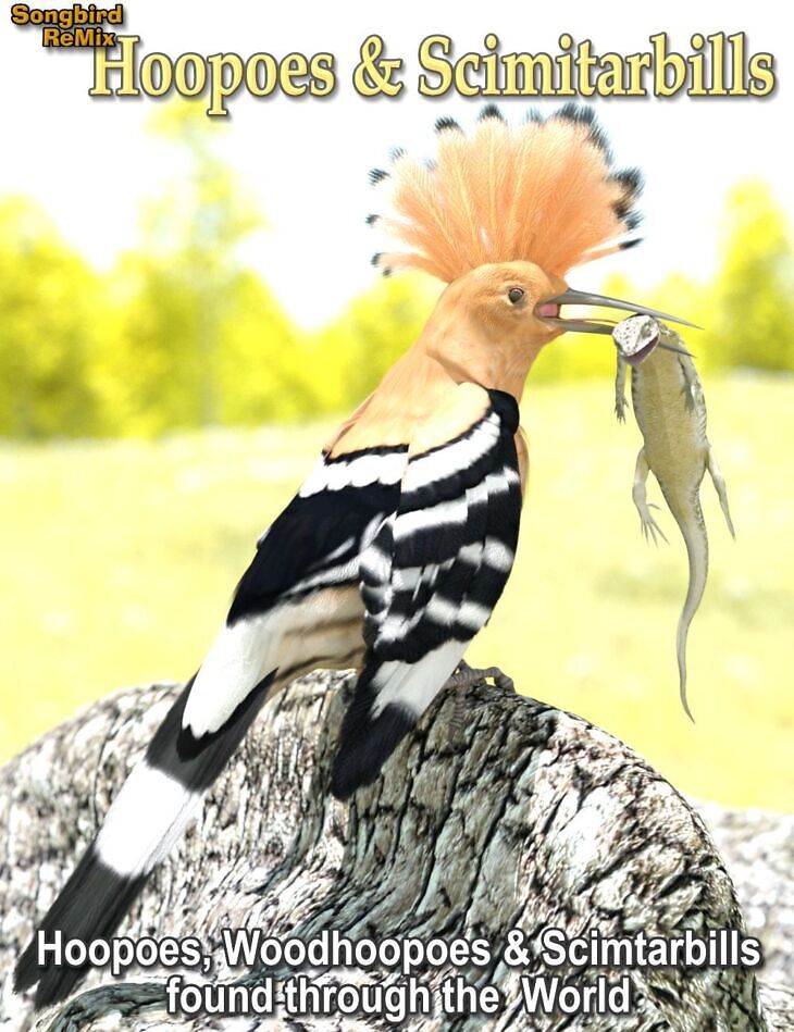 Songbird ReMix Hoopoes & Scimitarbills_DAZ3DDL