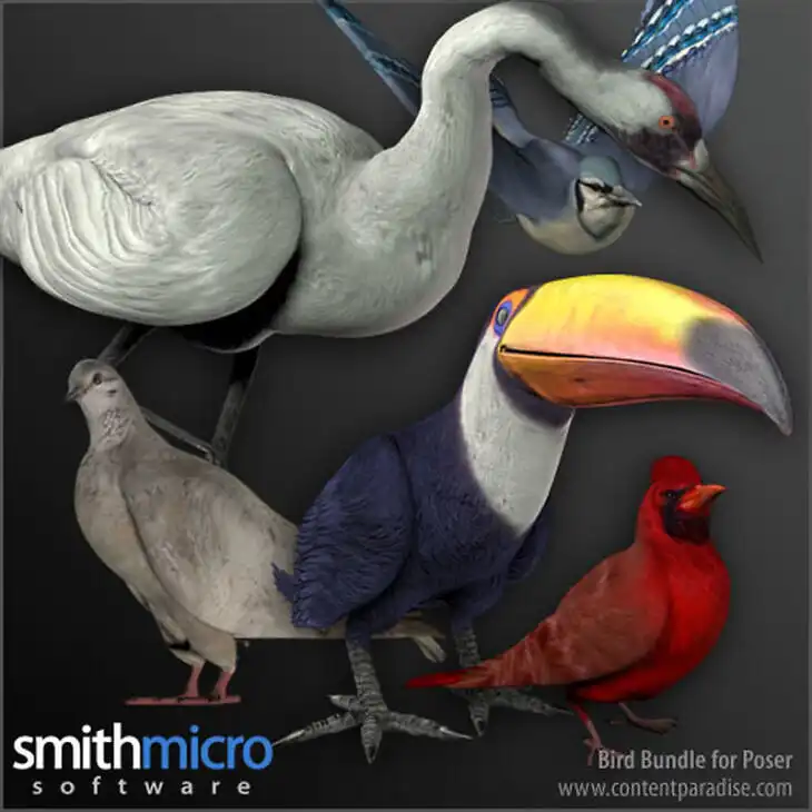 Bird Bundle_DAZ3DDL