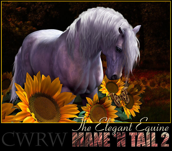 CWRW The Elegant Equine Mane ‘N Tail Pack 2_DAZ3D下载站