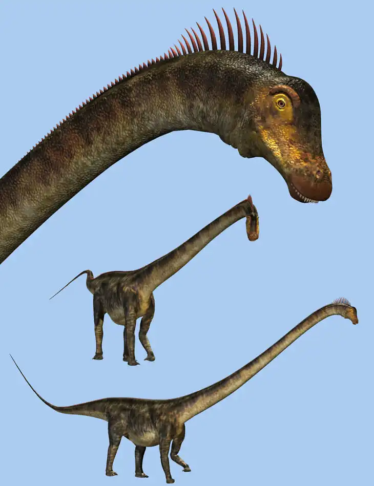 Barosaurus DR_DAZ3DDL