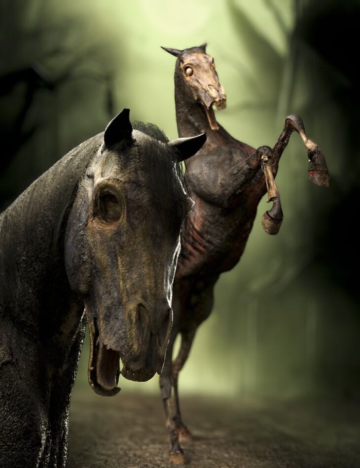 M3D Zombie Horse for Daz Horse 2_DAZ3DDL