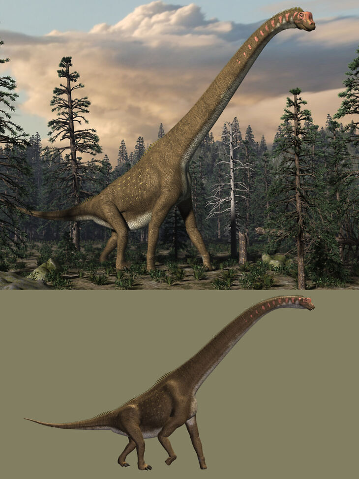 Giraffatitan DR_DAZ3DDL