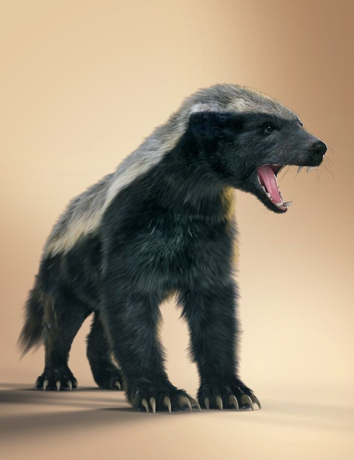 Honey Badger by AM_DAZ3D下载站
