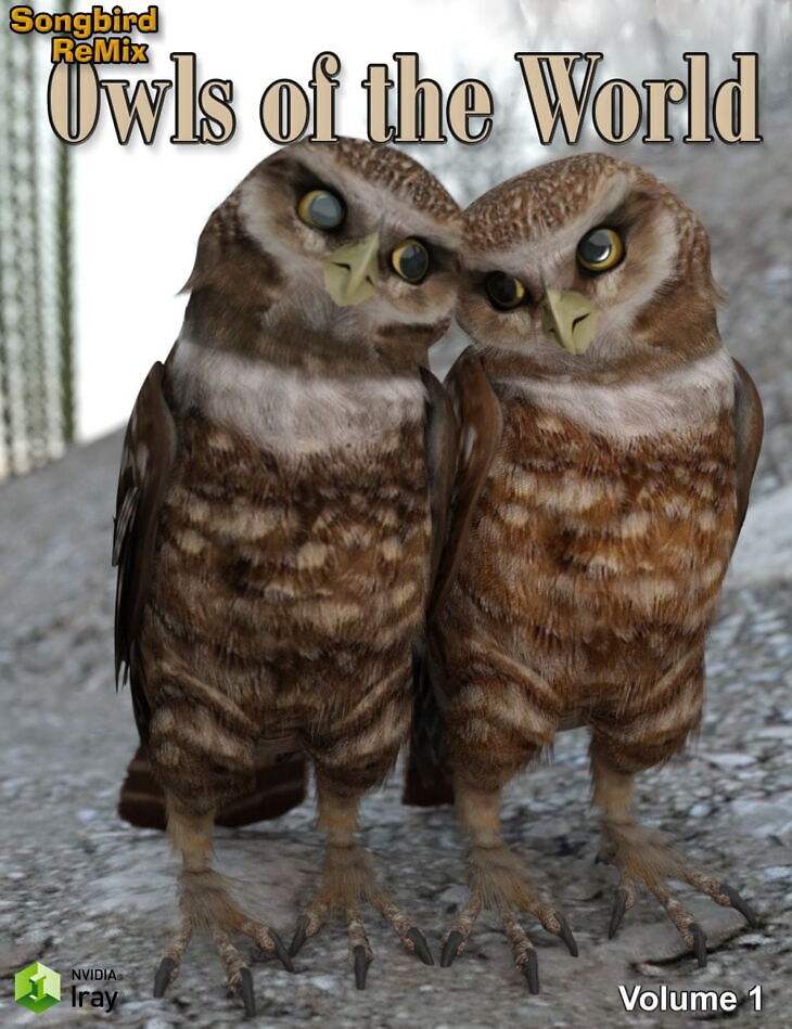 SBRM Owls of the World Volume 1_DAZ3D下载站