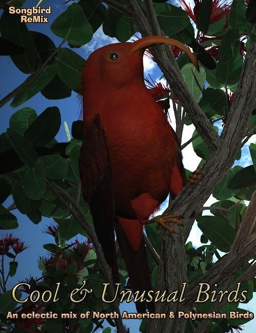 Songbird ReMix: Cool and Unusual Birds 1_DAZ3D下载站