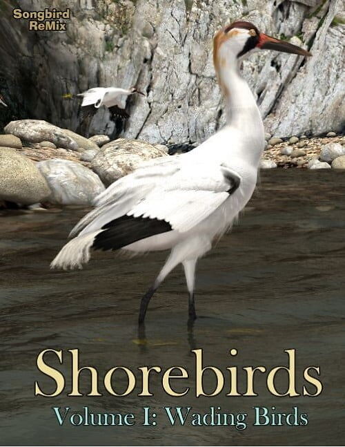 Songbird ReMix: Shorebirds Volume I_DAZ3DDL
