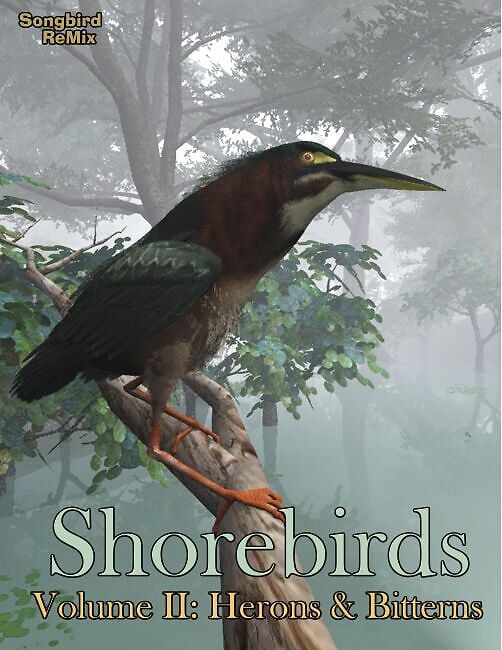 Songbird ReMix: Shorebirds Volume II_DAZ3DDL