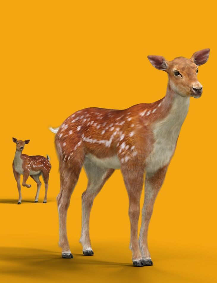 Deer for Daz Horse 3_DAZ3DDL