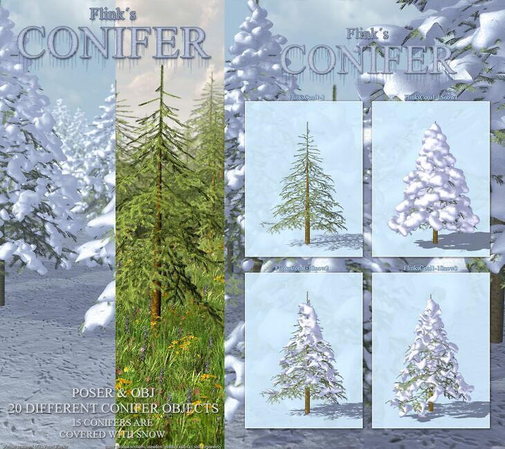 Flinks Conifer_DAZ3D下载站