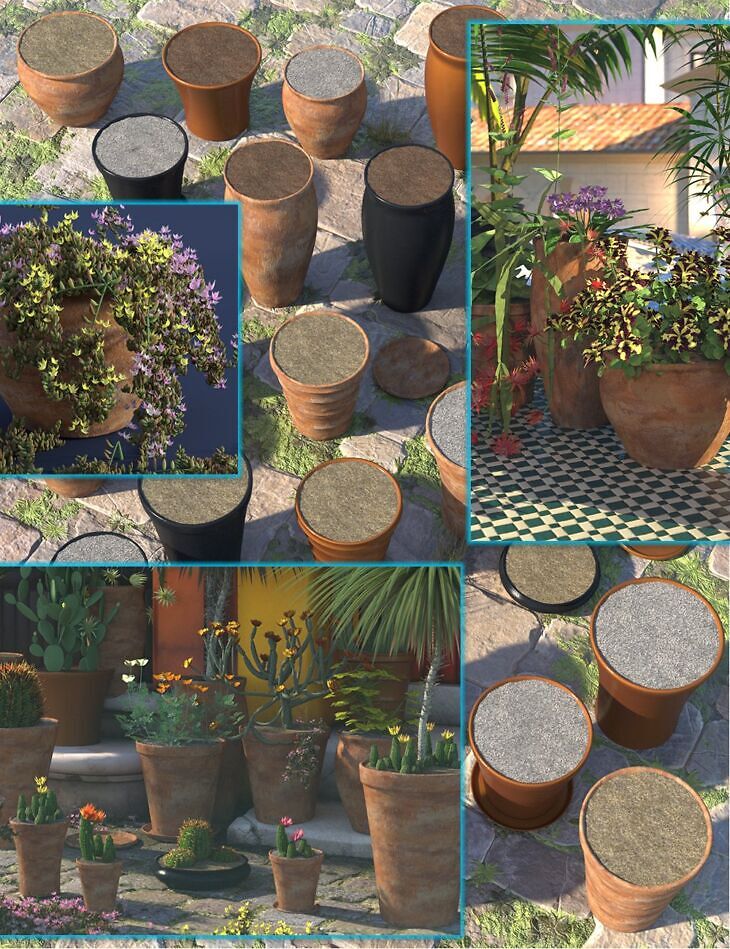 Plant Pots Vol 1_DAZ3D下载站