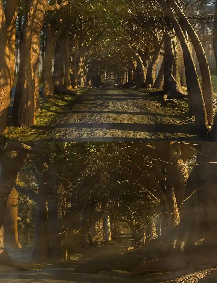 The Wandering Way_DAZ3D下载站