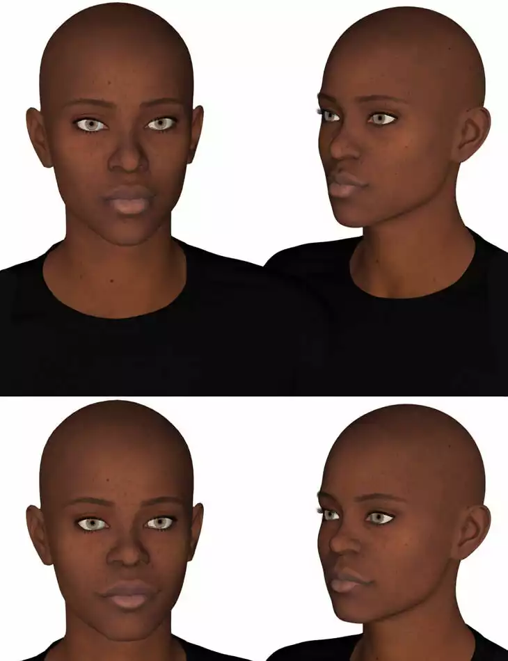 African Face Morphs for Genesis 9_DAZ3DDL